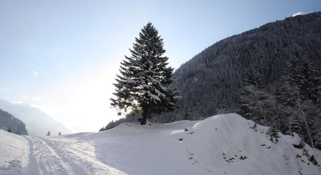 Apartments Haus Schoen - Preise Inclusive Pitztal Sommer Card Jerzens Exterior foto